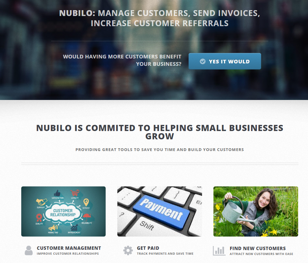 Nubilo Business Landing Page v1